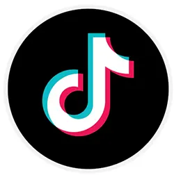 Sociální síť TikTok
